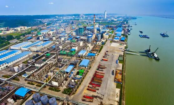 {Online Casino}(兴发集团是不是国企)